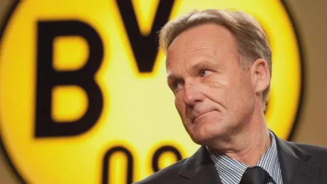 宝可梦Pokopia官宣将由光荣特库摩社长操刀